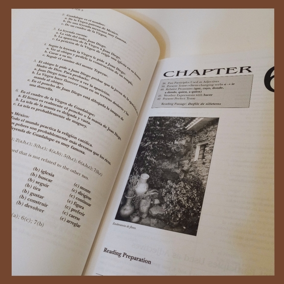 Spanish Learning Books - Picture 14 of 15